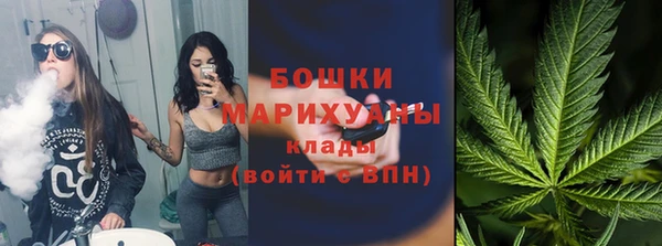 ГАЛЛЮЦИНОГЕННЫЕ ГРИБЫ Сясьстрой