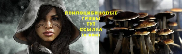 каннабис Тайга