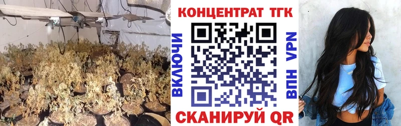ТГК Wax  Купить закладки  Тихвин 