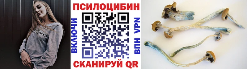 Псилоцибиновые грибы мухоморы  Купить  Тихвин 